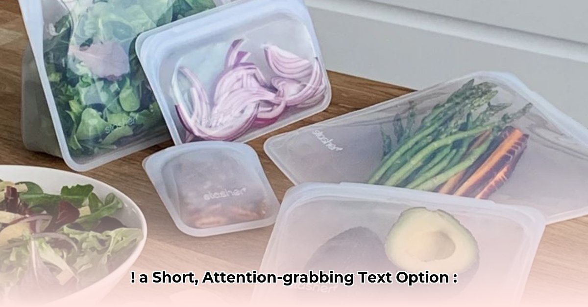 stasher-bags-net-worth